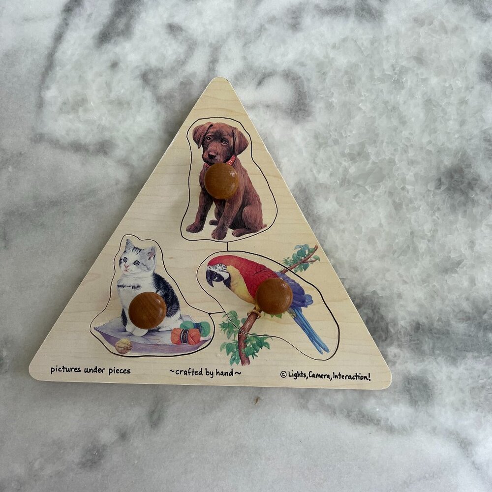 Melissa and Doug Triangle Jumbo Knob Wooden Puzzle